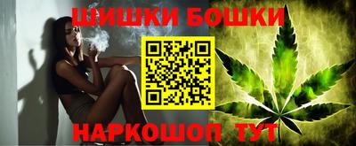 шишки Донской