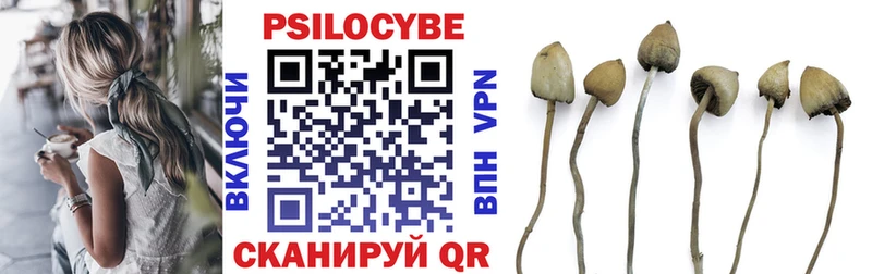 Галлюциногенные грибы MAGIC MUSHROOMS  Электрогорск 