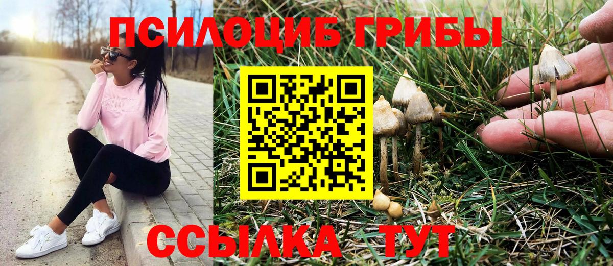 Галлюциногенные грибы Magic Shrooms  Галлюциногенные грибы ЛСД  Электрогорск 