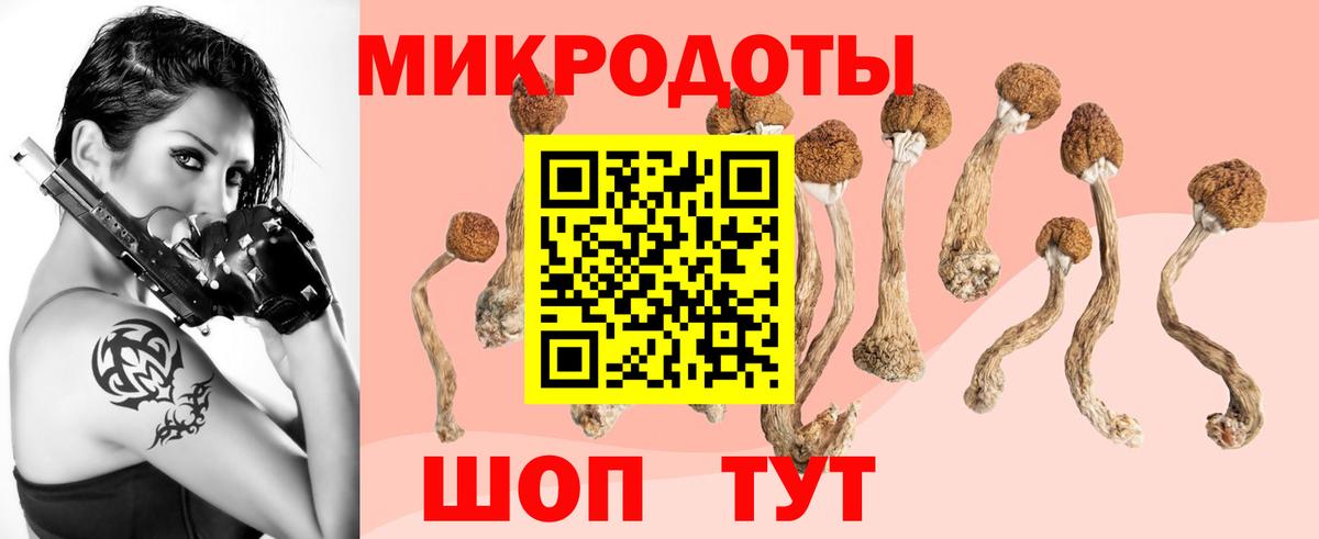 Псилоцибиновые грибы Cubensis  Галлюциногенные грибы Cubensis  Электрогорск  Вход с VPN 